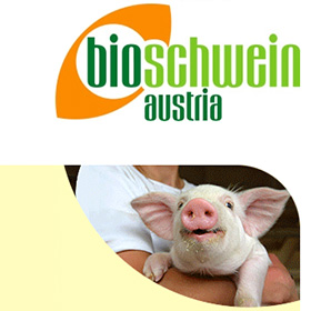 Bioschwein Austria - Referenz OfficeNo1